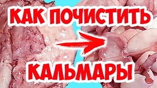 Как БЫСТРО почистить кальмаров и правильно их отварить простой способ [upl. by Nwatna676]