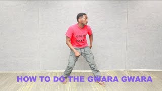 How to dance the Gwara Gwara Tutorial [upl. by Schrader]