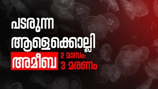 ആളെക്കൊല്ലി അമീബ  Amebic Meningoencephalitis  Studio90 [upl. by Rochester]