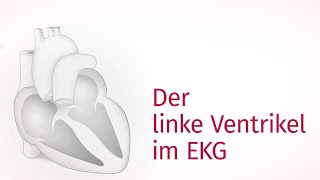 Der linke Ventrikel im EKG – EKG befunden  ekgtraining [upl. by Scarlett]