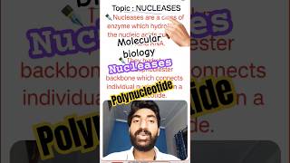 Nucleases  endonuclease and endonuclease by DSSir pwt biology molecularbiology mgkvp dssir [upl. by Woermer808]