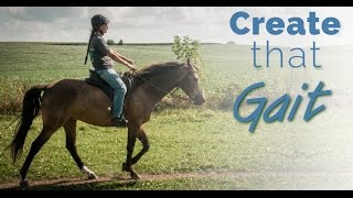 Training the Gaited Horse that Trots and Paces  before and after [upl. by Esilana]