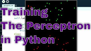 Perceptron Training Python [upl. by Lertnahs64]