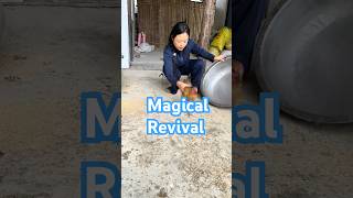 Magic Revival Watch How This NearDead Chicken Comes Back to Life with Just a Pot and Some Taps [upl. by Ainnet]