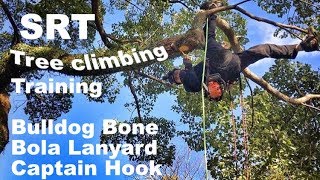 My SRT Tree Climbing Training Day3  Bulldog Bone  Bola Lanyard  GoPro1 [upl. by Tija]