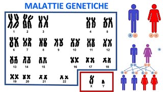 LE MALATTIE GENETICHE MENDELIANE [upl. by Katherine422]