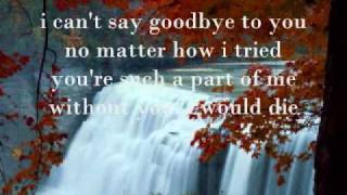 I cant say goodbye to you by Helen Reddy with Lyrics [upl. by Naitsirhk661]