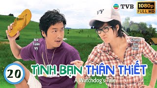 Tình Bạn Thân Thiết A Watchdogs Tale 2020  Mã Tuấn Vỹ Chung Gia Hân  TVB 2009 [upl. by Goodden]