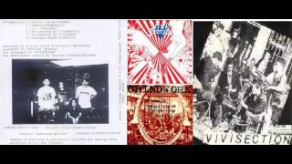 VIVISECTION japan 生体解剖 grindcore 東京 [upl. by Duhl]