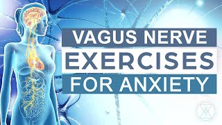 Vagus Nerve Exercises For Anxiety  Rewire Your Brain  Vagus Nerve Massage  Grounding Tools [upl. by Aznola565]