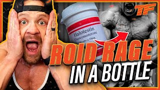 Halotestin  Roid Rage in a Bottle  My Experience [upl. by Laird627]