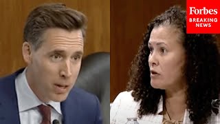 Youre Taking Missourians Land From Them Josh Hawley Explodes At Clean Energy Executive [upl. by Marius]