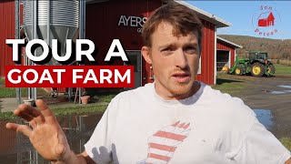 Tour a Vermont Goat Farm Ayers Brook Goat Dairy [upl. by Llertnac]