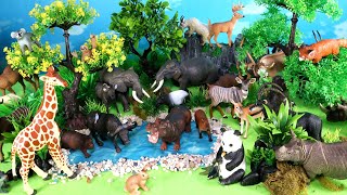 Herbivorous and Omnivorous Animal Figurines [upl. by Arnold]