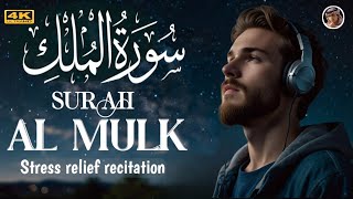 Surah Al Mulkسورۃ الملك Stress relief recitationTilawat ul Quran Qari Abdul wahab chang  quran [upl. by Fai]