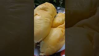 THE PHILIPPINES DURIAN PUYAT IS THE BEST IN THE WORLD [upl. by Singh]