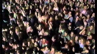 Zucchero  Voodoo voodoo Live 1995  Intro [upl. by Adnahsar205]