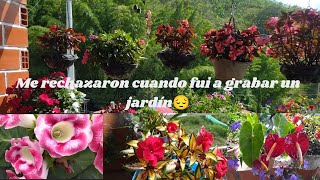 EL JARDIN DE ADRIANA Y STORYTIME🥀🌺🌷 [upl. by Gavra]