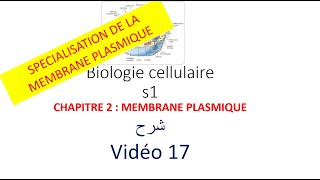 biologie cellulaire s1 vidéo 017  la membrane plasmique شرح [upl. by Graces]