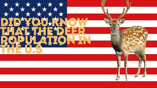 The Deer Population In Each State [upl. by Peder]