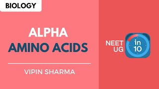 Alpha Amino Acids  NEET Biology  NEET UG in 10 [upl. by Kumar600]