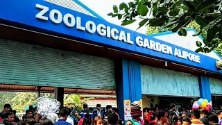 Kolkata Zoo  Zoological Garden Alipore  कोलकाता चिड़ियाघर  Kolkata West Bengal [upl. by Ljoka49]