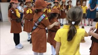 Brownies Promise Ceremony [upl. by Tipton]