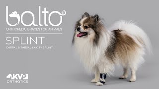 Balto® Splint – CarpalTarsal Laxity Splint [upl. by Salkin761]