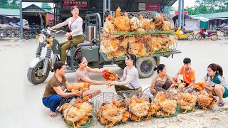 Use 3wheeled Vehicle Harvesting Many Chicken Goes To Market Sell  Take Care Of Animals on My Farm [upl. by Stephania481]