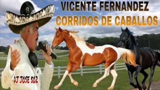 Vicente Fernandez Mix 2017 Corridos De Caballos Mix 2017 [upl. by Arawaj]