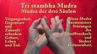 Heilsame Mudras [upl. by Varin643]