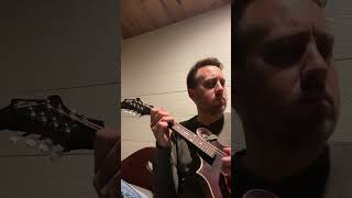 Random picking 😀 mandolin flatpicking newstrings mandolinplayer bluegrass [upl. by Aubarta]