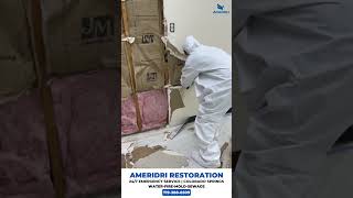 This is HOW WE Properly Remediate Mold shorts moldremediation [upl. by Adnyl]