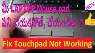 How to fix touchpad issue easily  మీ LAPTOP Mouse pad పని చేయకపోతేచేయండిలా [upl. by Aehcsrop]