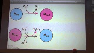 32 Kevin Aherns Biochemistry  ETS and Oxidative Phosphorylation [upl. by Lachish]