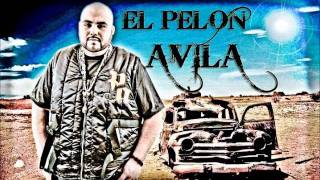 El Elegua  El Pelon Avila Ft Larry HernandezFuerza Records 2011 Estudio [upl. by Ocirederf312]