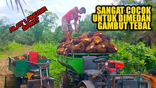 Alat Langsir Sawit Di Medat Gambut ‼️ Alat Angkut Serba Guna petanisawit alatangkut kurirsawit [upl. by Land]