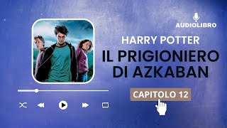 12 Harry Potter e IL PRIGIONIERO DI AZKABAN volume 3 Audiolibro  IL PATRONUS [upl. by Jessika]