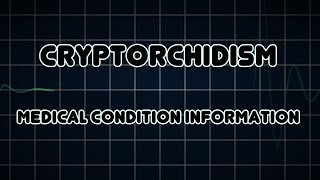 Cryptorchidism Medical Condition [upl. by Zobias4]