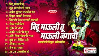 १३ विठ्ठल भक्तीगीते व अभंग  विठू माऊली तू माऊली जगाची  13 Vitthal Songs Marathi [upl. by Strauss]