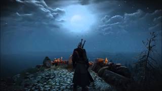 The Witcher 3  The Fields of Ard Skellig Midnight [upl. by Jemmy808]