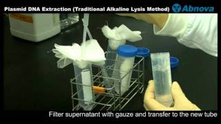 Plasmid DNA Extraction Traditional Alkaline Lysis Method [upl. by Wallache]