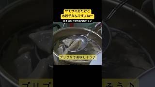 サモサの形だけど水餃子なんですよねーサモ餃子て何なん？美味しい水餃子 サモサ 水餃子 簡単レシピ [upl. by Ikim]