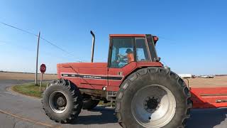 International Harvester 5488 RowCrop tractor  Fulton County  Ohio  Harvest 2020  5K [upl. by Enyal]