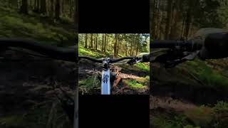 Bikepark Hahnenklee 2024  alle Strecken amp alle neue Features [upl. by Cunningham284]