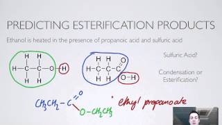 10 Esterification [upl. by Berke]