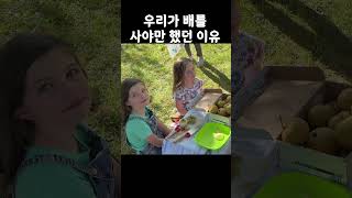 SPCA 기부를 하기 위해 배를 샀다 [upl. by Fidellas]