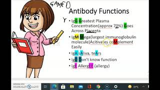 Remember Antibody typesFunctionsstructure [upl. by Bryce434]