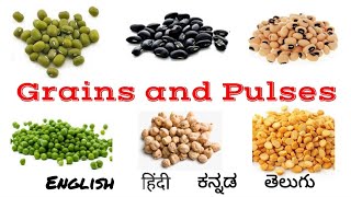 Grains and Pulses names in English Hindi Kannada Telugu  Grains name  Pulses name  Millets [upl. by Coulson]