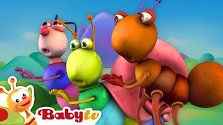 Arabic Music with the Big Bugs Band 🐜 🐞 🐛  Music for toddlers 🎵 BabyTV [upl. by Darelle]